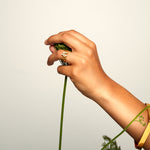 Gold logo ring worn with yellow sleeve, holding green plant stem — a composition blending nature and contemporary jewelry.