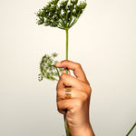 A hand holding up a dill flower against a soft white-grey background. On the finger is the MMM Polished Gold Vermeil Ring by Märta Larsson, featuring a polished gold vermeil finish and sculptural “M” logo design. A perfect accessory for modern caftan outfits or elegant kaftan dresses, blending nature-inspired form with luxury jewelry craftsmanship.
