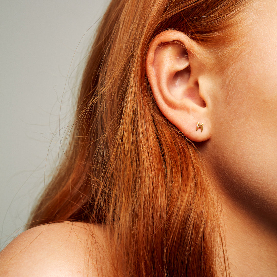Signature Polished Earrings