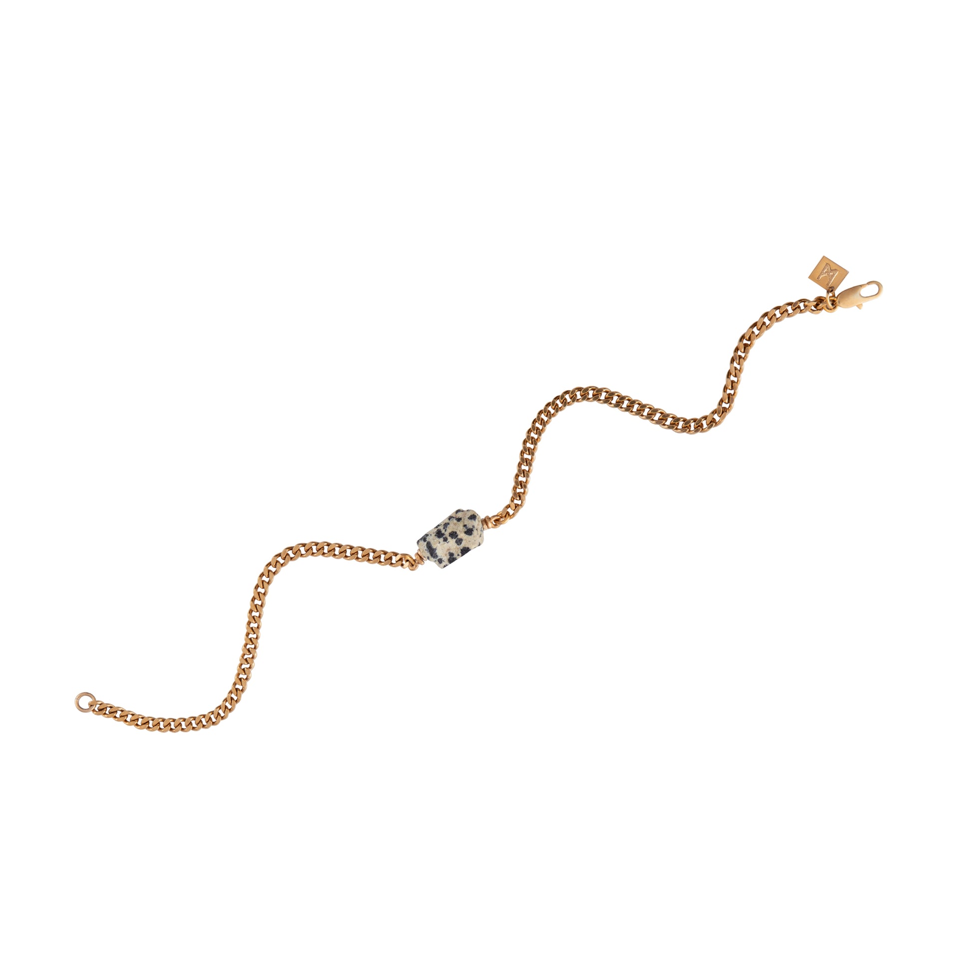 Raw One Dalmatian Anklet